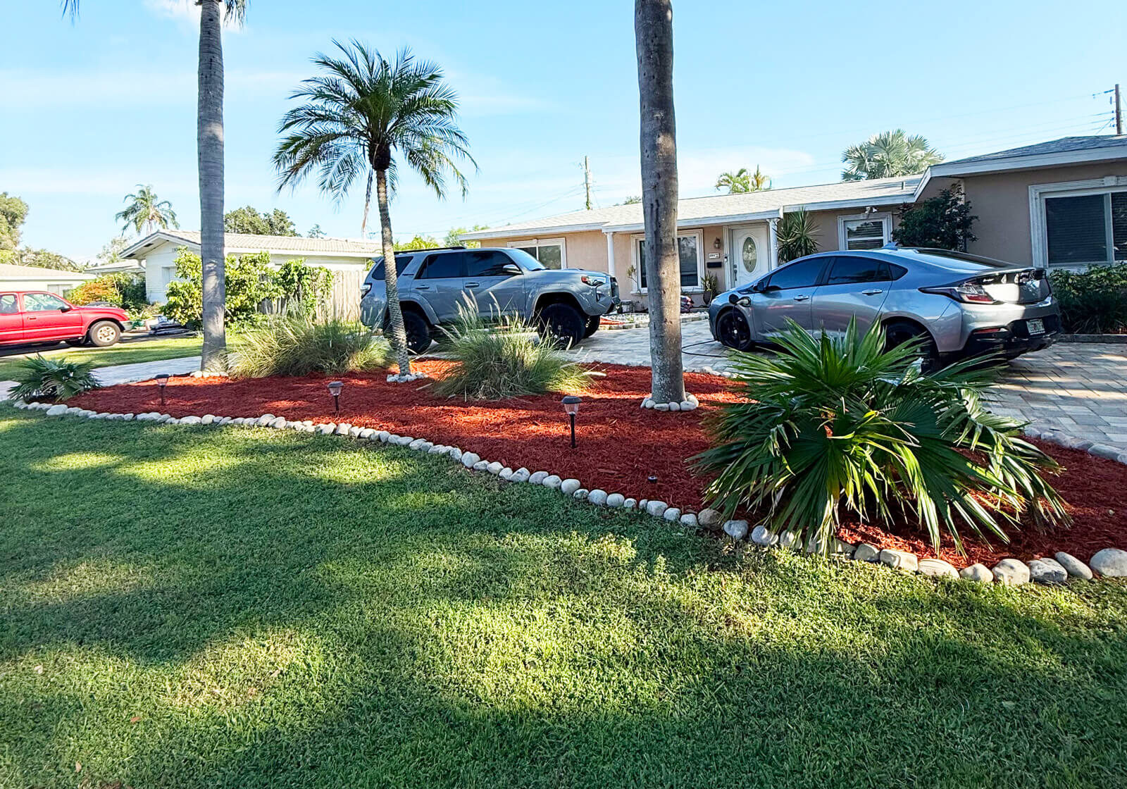 Finished front yard landscaping project in St. Petersburg featuring red mulch, white stone borders, and palm trees.
